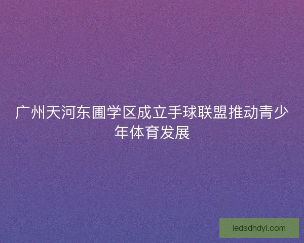 广州天河东圃学区成立手球联盟推动青少年体育发展