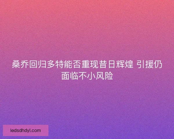 桑乔回归多特能否重现昔日辉煌 引援仍面临不小风险